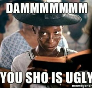 Meet your Posher, Donald